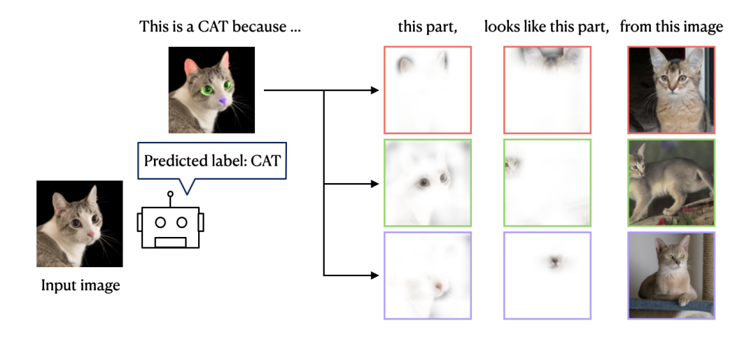 ProtoPNet inference process ProtoPNet inference process