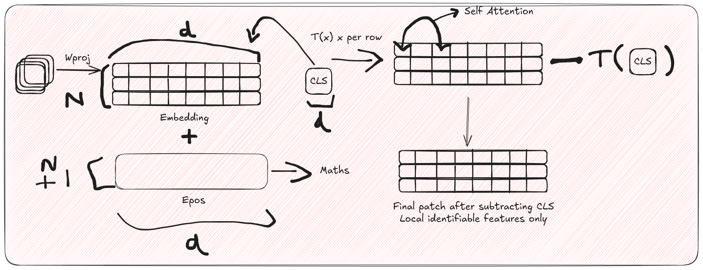 ProtoViT Encoder